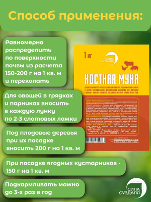 костная-3